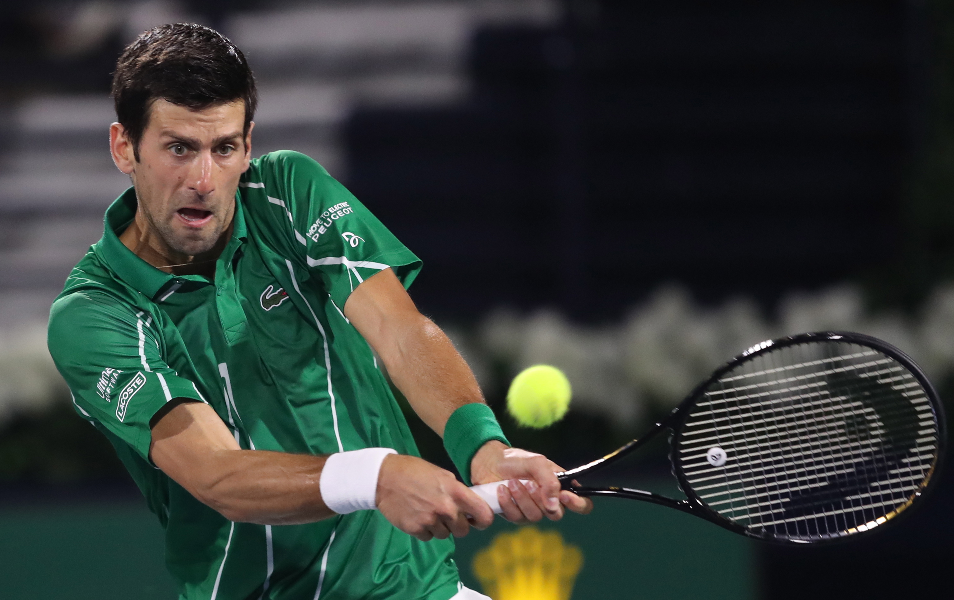 卫中十分罕 卫中十分罕