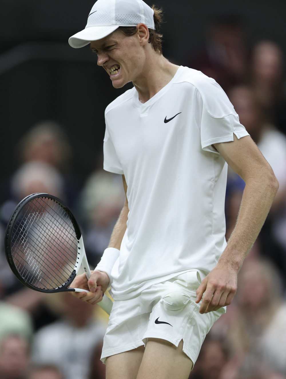 积极的信号 积极的信号