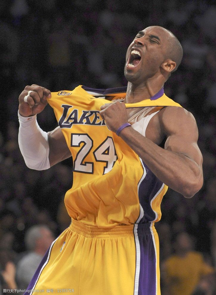 杆的布局化 杆的布局化